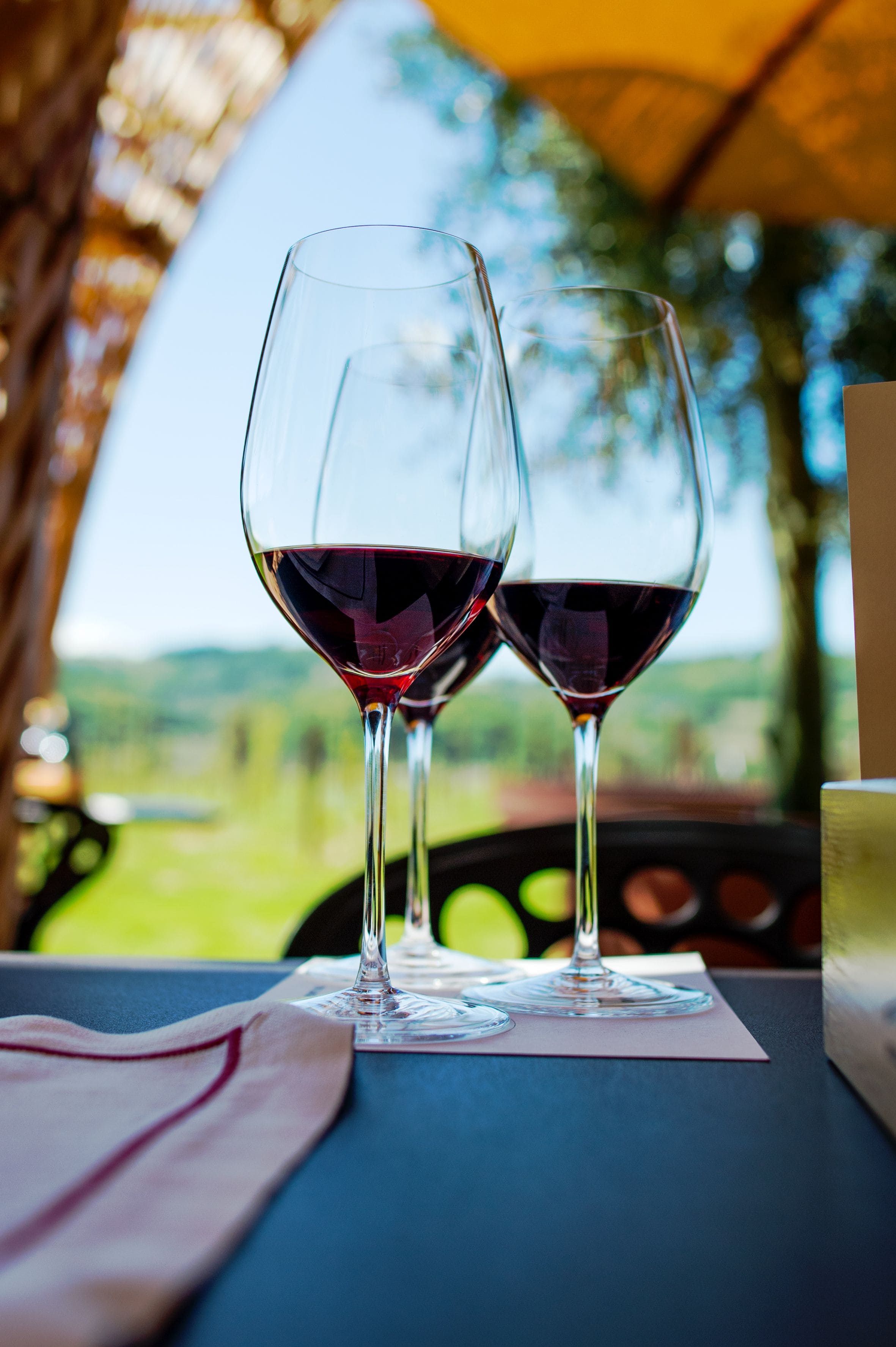 notre-sélection-de-vins-de-Corbières